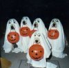 Halloween Pets_9.jpg