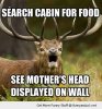 funny-upset-scared-deer-elk-cabin-moms-head-pics.jpg