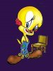 tweety.jpg