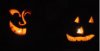 carved pumpkins.jpg