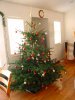 xmastree05bis.jpg