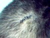 Stitches 4-01-05.jpg