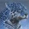 1blue_leopard